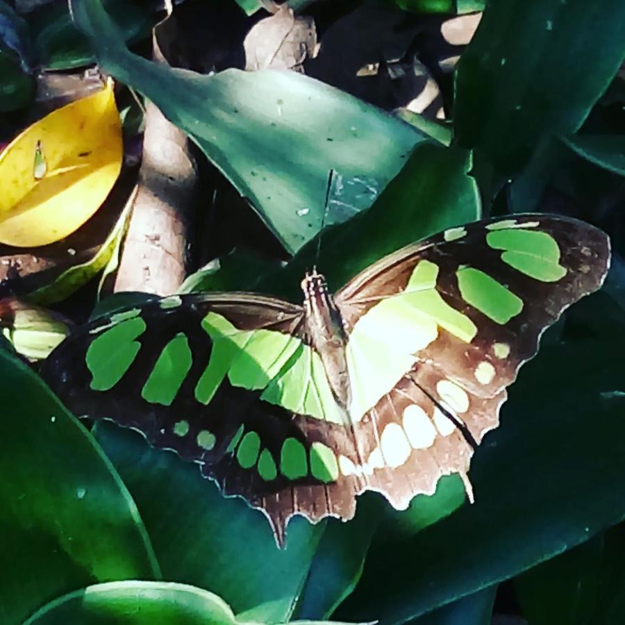Posada Maria Iguazu Puerto Iguazú Esterno foto