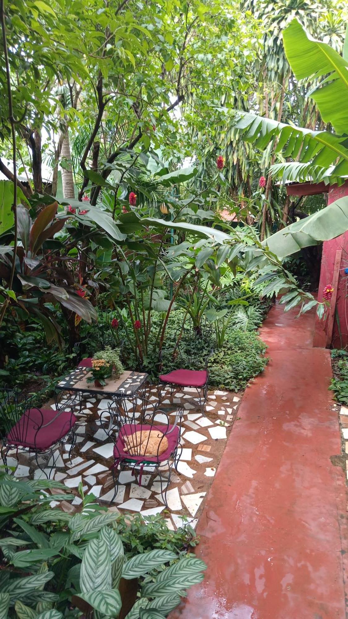Posada Maria Iguazu Puerto Iguazú Esterno foto