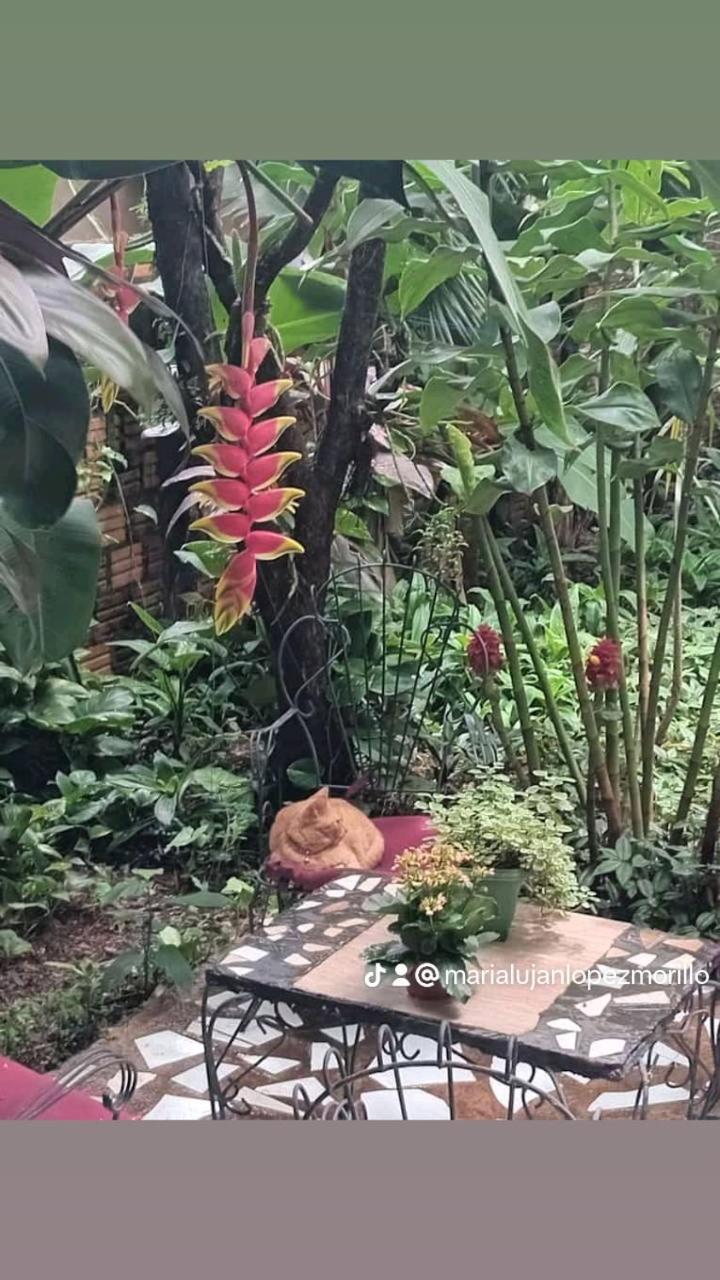 Posada Maria Iguazu Puerto Iguazú Esterno foto
