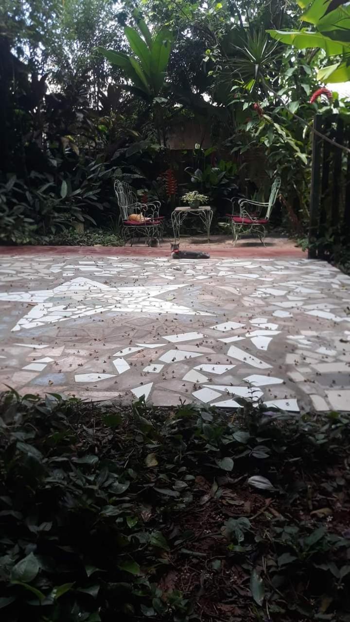 Posada Maria Iguazu Puerto Iguazú Esterno foto